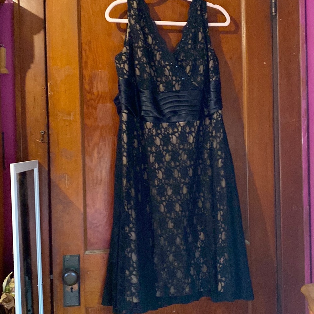 DressBarn Dress size 20w